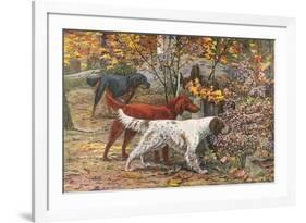 Assorted Setters-Louis Agassiz Fuertes-Framed Art Print