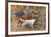 Assorted Setters-Louis Agassiz Fuertes-Framed Art Print