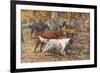 Assorted Setters-Louis Agassiz Fuertes-Framed Art Print