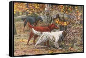 Assorted Setters-Louis Agassiz Fuertes-Framed Stretched Canvas