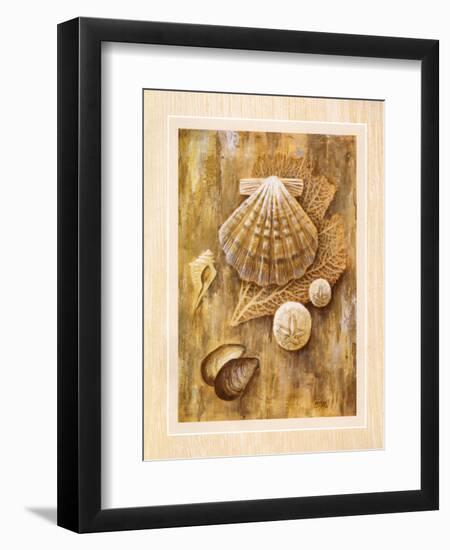 Assorted Shells-Ron Jenkins-Framed Art Print