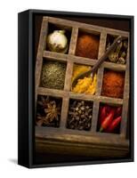 Assorted Spices in Type Case-Greg Elms-Framed Stretched Canvas