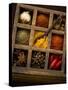 Assorted Spices in Type Case-Greg Elms-Stretched Canvas