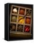 Assorted Spices in Type Case-Greg Elms-Framed Stretched Canvas
