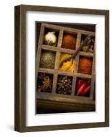 Assorted Spices in Type Case-Greg Elms-Framed Photographic Print