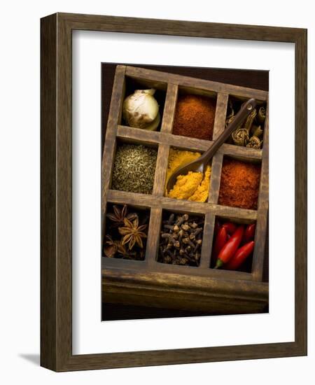 Assorted Spices in Type Case-Greg Elms-Framed Photographic Print