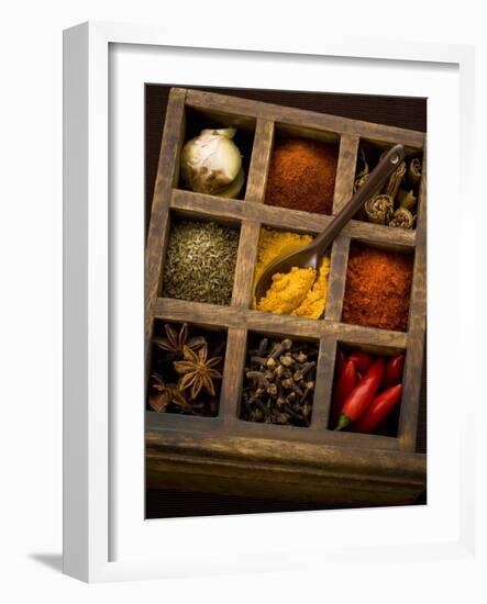 Assorted Spices in Type Case-Greg Elms-Framed Photographic Print