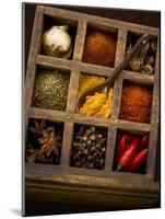 Assorted Spices in Type Case-Greg Elms-Mounted Photographic Print