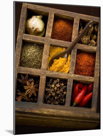 Assorted Spices in Type Case-Greg Elms-Mounted Photographic Print