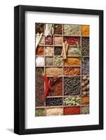 Assorted Spices in Type Case-Eising Studio - Food Photo and Video-Framed Photographic Print