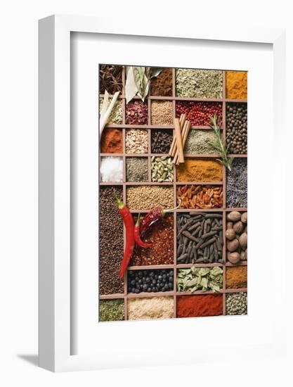 Assorted Spices in Type Case-Eising Studio - Food Photo and Video-Framed Photographic Print