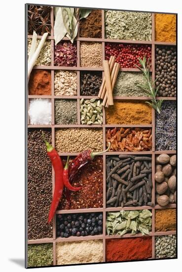 Assorted Spices in Type Case-Eising Studio - Food Photo and Video-Mounted Photographic Print