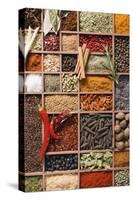 Assorted Spices in Type Case-Eising Studio - Food Photo and Video-Stretched Canvas