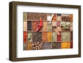 Assorted Spices in Type Case-Eising Studio - Food Photo and Video-Framed Photographic Print