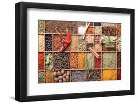 Assorted Spices in Type Case-Eising Studio - Food Photo and Video-Framed Photographic Print