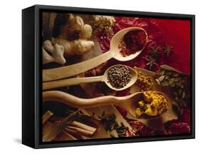 Assorted Spices in Wooden Spoons-Ulrike Koeb-Framed Stretched Canvas