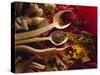 Assorted Spices in Wooden Spoons-Ulrike Koeb-Stretched Canvas