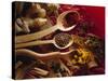 Assorted Spices in Wooden Spoons-Ulrike Koeb-Stretched Canvas