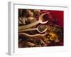 Assorted Spices in Wooden Spoons-Ulrike Koeb-Framed Photographic Print