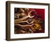 Assorted Spices in Wooden Spoons-Ulrike Koeb-Framed Photographic Print