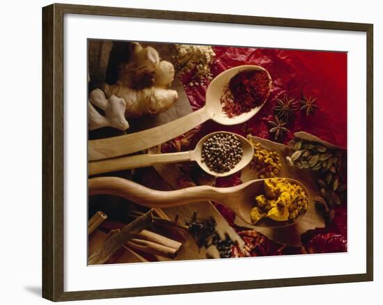 Assorted Spices in Wooden Spoons-Ulrike Koeb-Framed Photographic Print