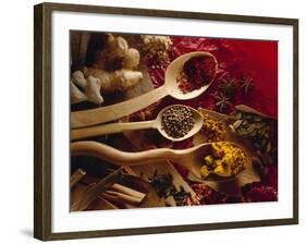 Assorted Spices in Wooden Spoons-Ulrike Koeb-Framed Photographic Print