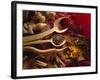 Assorted Spices in Wooden Spoons-Ulrike Koeb-Framed Photographic Print