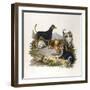 Assorted Terriers 1800-null-Framed Art Print