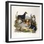 Assorted Terriers 1800-null-Framed Art Print