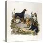 Assorted Terriers 1800-null-Stretched Canvas