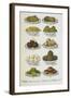 Assorted Vegetable Dishes-Isabella Beeton-Framed Giclee Print