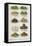 Assorted Vegetable Dishes-Isabella Beeton-Framed Stretched Canvas