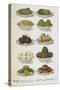 Assorted Vegetable Dishes-Isabella Beeton-Stretched Canvas