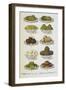 Assorted Vegetable Dishes-Isabella Beeton-Framed Giclee Print