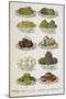 Assorted Vegetable Dishes-Isabella Beeton-Mounted Giclee Print