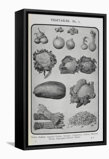 Assorted Vegetables-Isabella Beeton-Framed Stretched Canvas