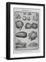 Assorted Vegetables-Isabella Beeton-Framed Giclee Print