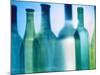 Assorted Wine Bottle Shadows-Ulrike Koeb-Mounted Photographic Print