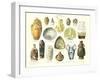 Assortment of Ceramics-null-Framed Art Print