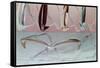 Assortment of Eyeglasses-null-Framed Stretched Canvas