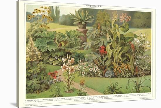 Assortment of Garden Plants-null-Stretched Canvas