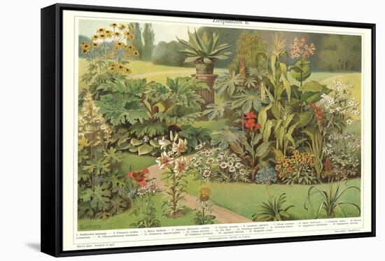 Assortment of Garden Plants-null-Framed Stretched Canvas