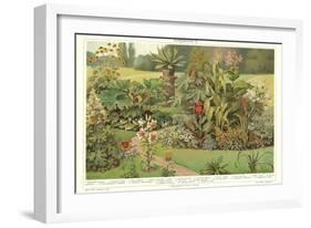 Assortment of Garden Plants-null-Framed Premium Giclee Print
