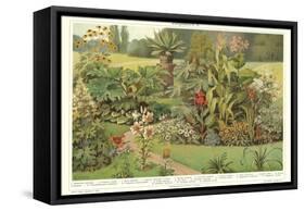 Assortment of Garden Plants-null-Framed Stretched Canvas