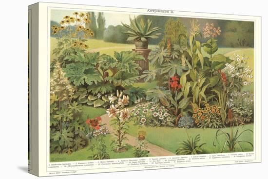 Assortment of Garden Plants-null-Stretched Canvas