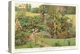 Assortment of Garden Plants-null-Stretched Canvas