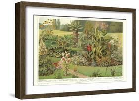 Assortment of Garden Plants-null-Framed Art Print