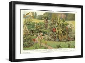 Assortment of Garden Plants-null-Framed Art Print