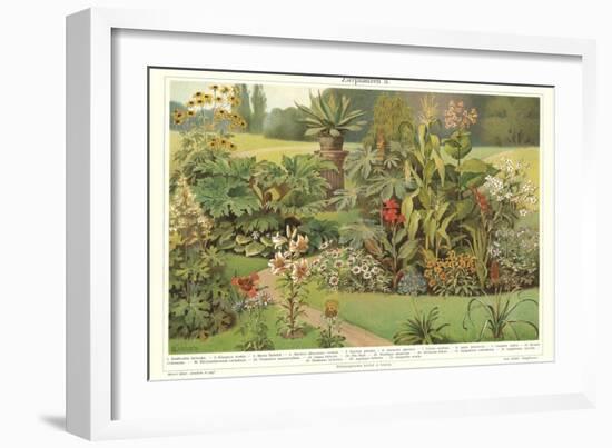 Assortment of Garden Plants-null-Framed Art Print