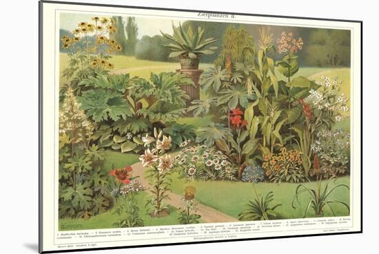 Assortment of Garden Plants-null-Mounted Art Print